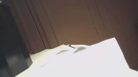 Snapshot of ezcoda chatting on 12/20/24, 02:19 EZCODA online show from 12/20/24, 02:19