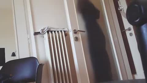 Snapshot of ezcoda chatting on 01/07/25, 10:11 EZCODA online show from 01/07/25, 10:11