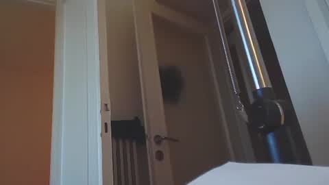 Snapshot of ezcoda chatting on 01/14/25, 02:43 EZCODA online show from 01/14/25, 02:43