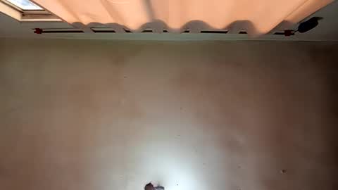 ezequielali online show from 11/02/25, 09:06