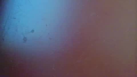 fabi online show from 02/19/25, 06:21