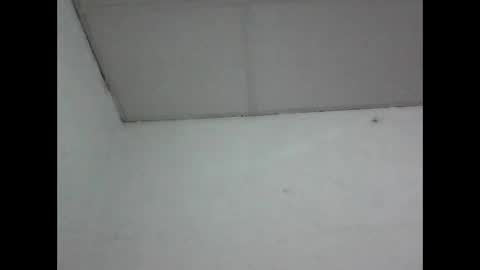 R online show from 05/01/26, 04:39