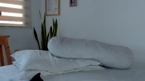 -  A N D E R online show from 11/20/25, 09:25