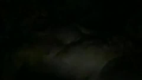 FABX online show from 11/10/25, 10:31