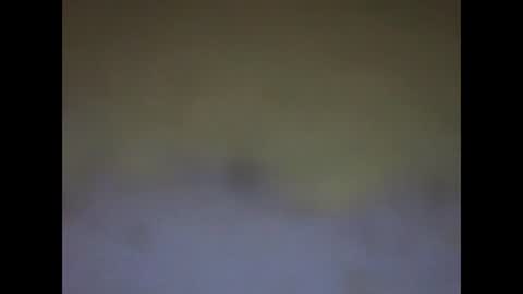 Snapshot of fafafa923 chatting on 01/12/25, 11:15 fafafa923 online show from 01/12/25, 11:15