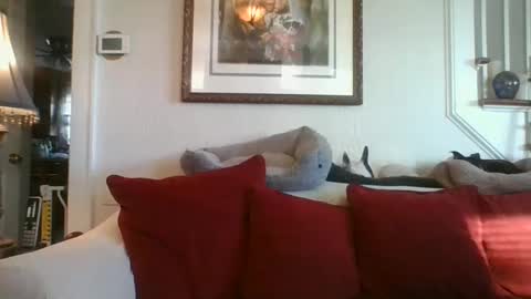 fairmount31 online show from 01/07/25, 01:46