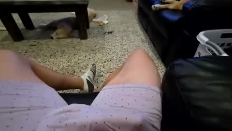 faker1414 online show from 02/02/26, 02:10