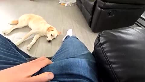 faker1414 online show from 03/19/26, 03:49