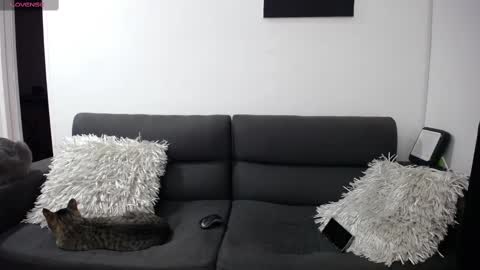 FallGays online show from 02/22/25, 12:16