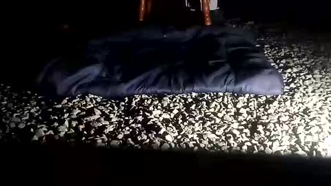 fallguyb1875150 online show from 10/06/25, 10:12