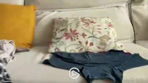 falupy online show from 04/24/26, 03:36