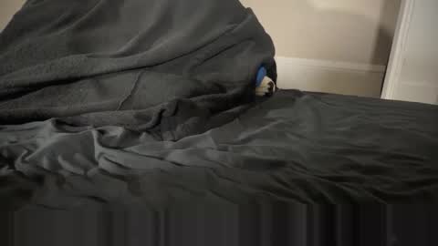 Fango online show from 01/12/26, 02:39