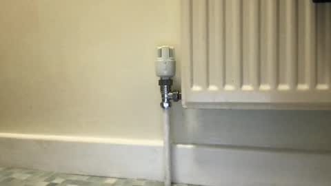 Snapshot of fantacyland chatting on 12/03/24, 09:55 Alex online show from 12/03/24, 09:55