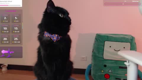  Fantasma.  online show from 10/25/25, 01:13