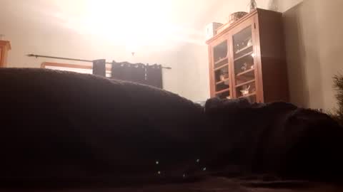 Farm2boy online show from 01/11/25, 02:09