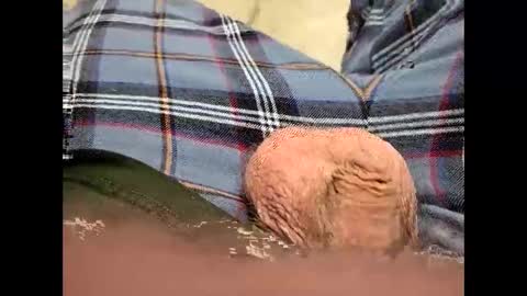 fartinmymouthplz online show from 11/18/25, 03:45