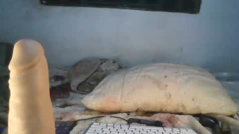 Faux Feitico online show from 05/14/26, 12:50