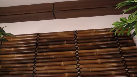 Fayeslate online show from 11/20/25, 05:51