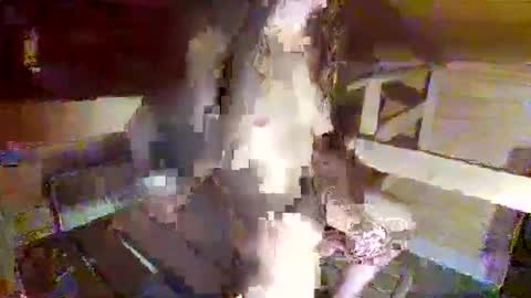 Snapshot of feet__sucker chatting on 09/22/25, 08:22 feet__sucker online show from 09/22/25, 08:22