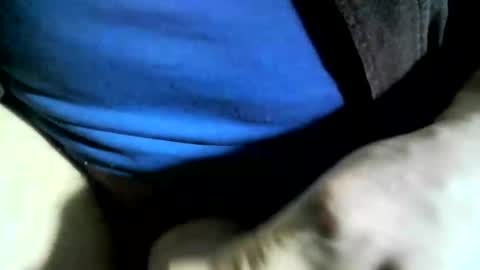 Snapshot of felicaste chatting on 01/24/25, 06:04 felicaste online show from 01/24/25, 06:04