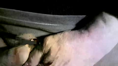 Snapshot of felicaste chatting on 02/17/25, 04:20 felicaste online show from 02/17/25, 04:20