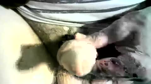 Snapshot of felicaste chatting on 03/08/25, 12:22 felicaste online show from 03/08/25, 12:22