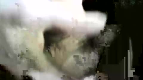 Snapshot of felicaste chatting on 12/02/25, 08:59 felicaste online show from 12/02/25, 08:59