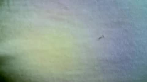 felicaste online show from 04/21/26, 11:38