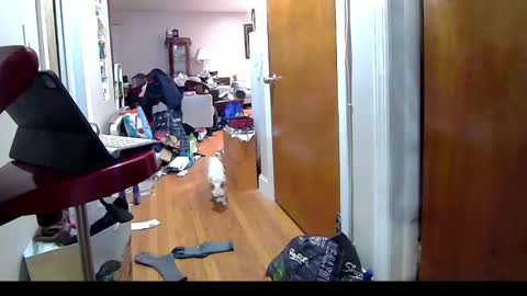 felicitybliss29 online show from 11/06/25, 04:24