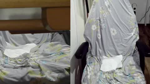 felixlau online show from 01/22/25, 12:06