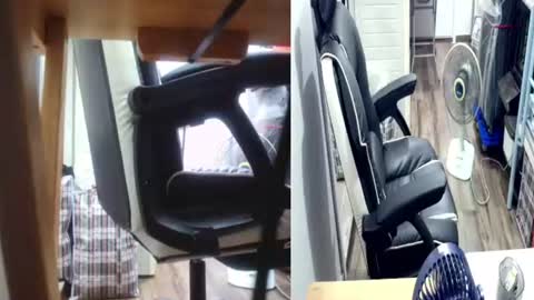 felixlau online show from 06/09/26, 11:55