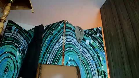 hungnsexy  online show from 02/04/25, 07:07
