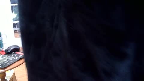 hungnsexy  online show from 03/07/25, 09:59