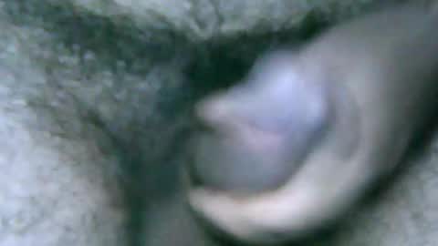 fer_2197 online show from 12/28/24, 01:17