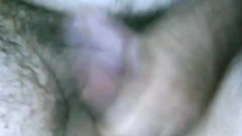 fer_2197 online show from 12/30/24, 04:19