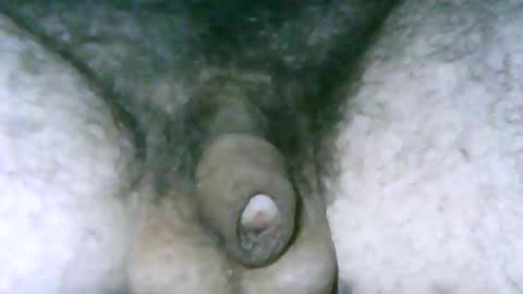 fer_2197 online show from 04/16/26, 11:22