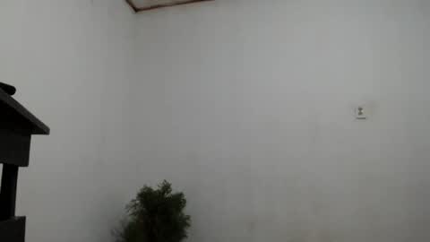 fernandez_latinblack online show from 12/02/24, 04:20