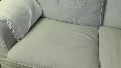 Fid online show from 03/12/26, 09:32