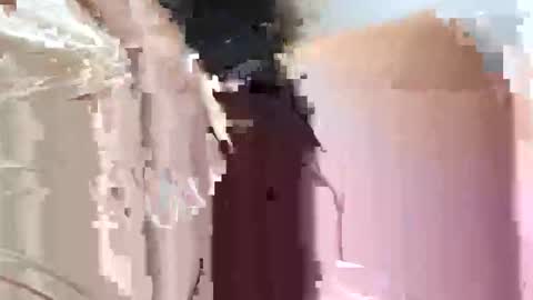 fifipan online show from 10/25/25, 09:28