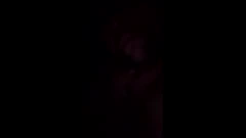 fifipan online show from 03/08/26, 02:04