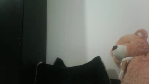 Snapshot of finnky1 chatting on 12/20/24, 01:43 finnky1 online show from 12/20/24, 01:43