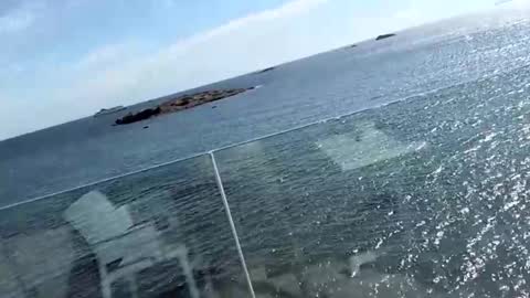 Snapshot of fischandchip chatting on 10/11/25, 10:47 fischandchip online show from 10/11/25, 10:47