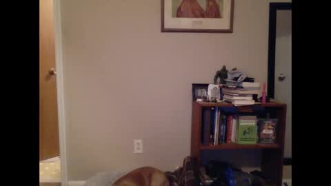 Snapshot of fitbit90 chatting on 03/09/25, 09:46 FitBit online show from 03/09/25, 09:46