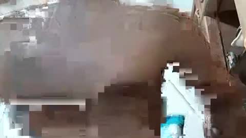 fitchestabs_69 online show from 12/07/24, 03:25