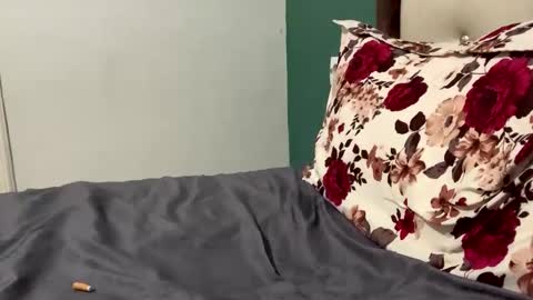 FittBoy online show from 03/28/26, 03:22