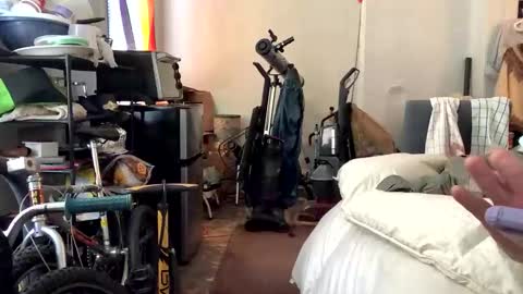 francis keith gibson online show from 01/08/25, 02:03