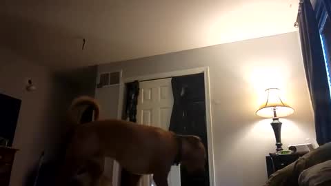 Nate online show from 02/28/25, 01:03