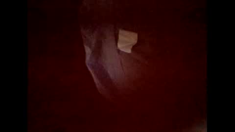 flexngudlit online show from 03/05/26, 06:59