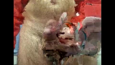 Snapshot of flippe64 chatting on 02/05/25, 10:08 flippe64 online show from 02/05/25, 10:08