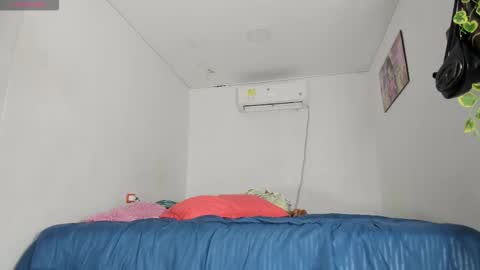    online show from 11/11/25, 03:06